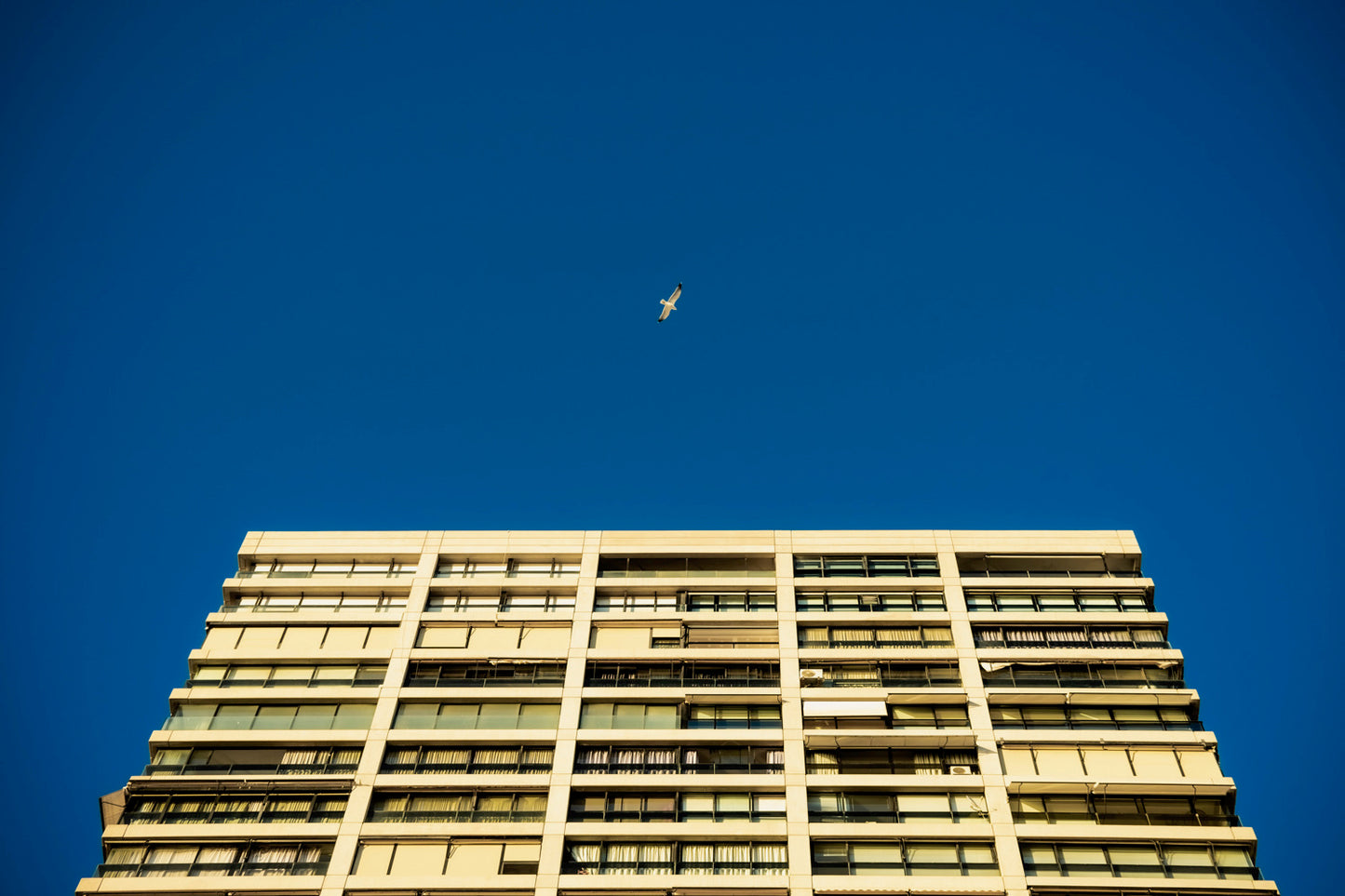 Benidorm. Enero 2022