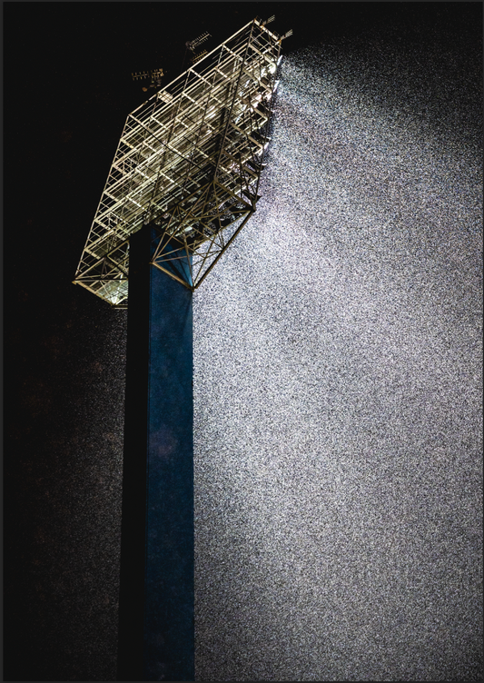 La Romareda, un foco y Filomena "Zaragoza Walkers"