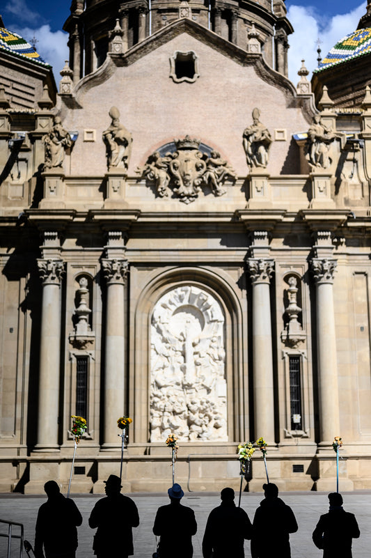 Palos en Plaza del Pilar