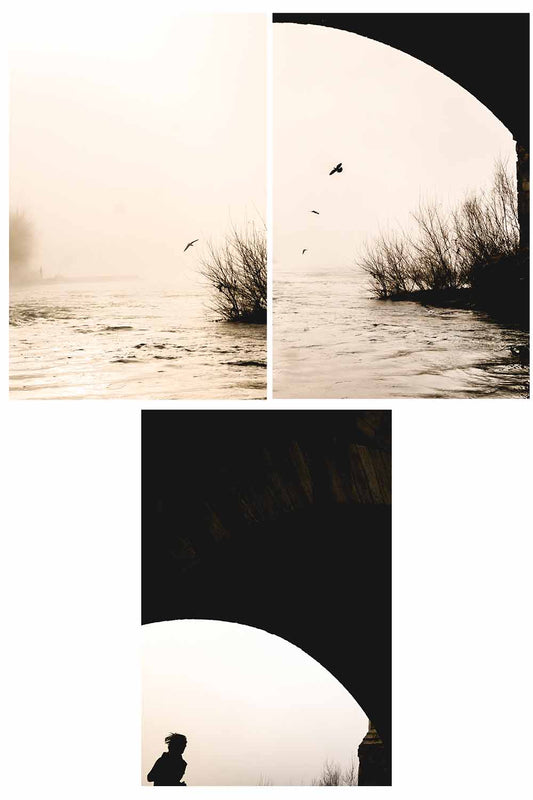 "Niebla y Vida" Zaragoza Walkers.